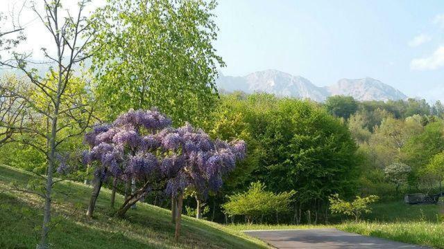 Dolomitas Home Paderno Exterior photo